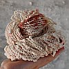 Bobble Chunky - sample skein